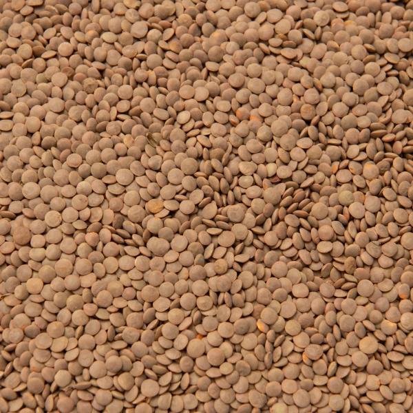 Red Lentils Whole