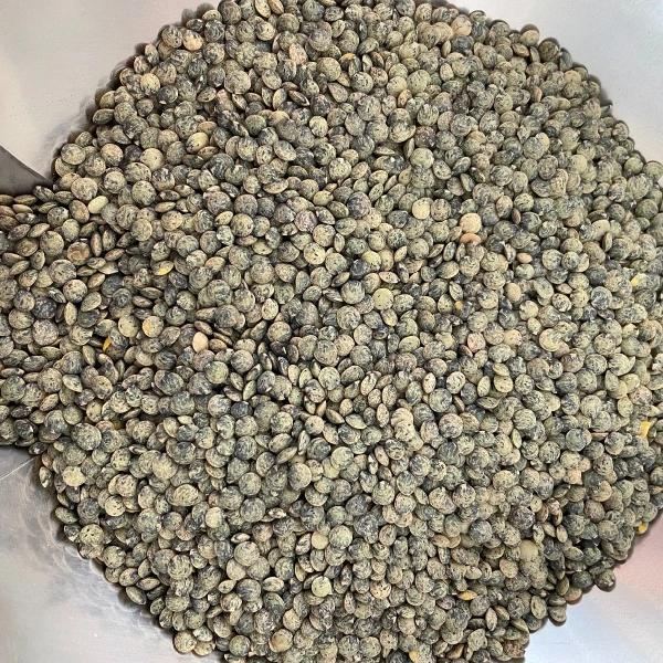 French Green Lentils