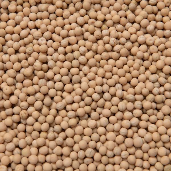Yellow Peas Whole
