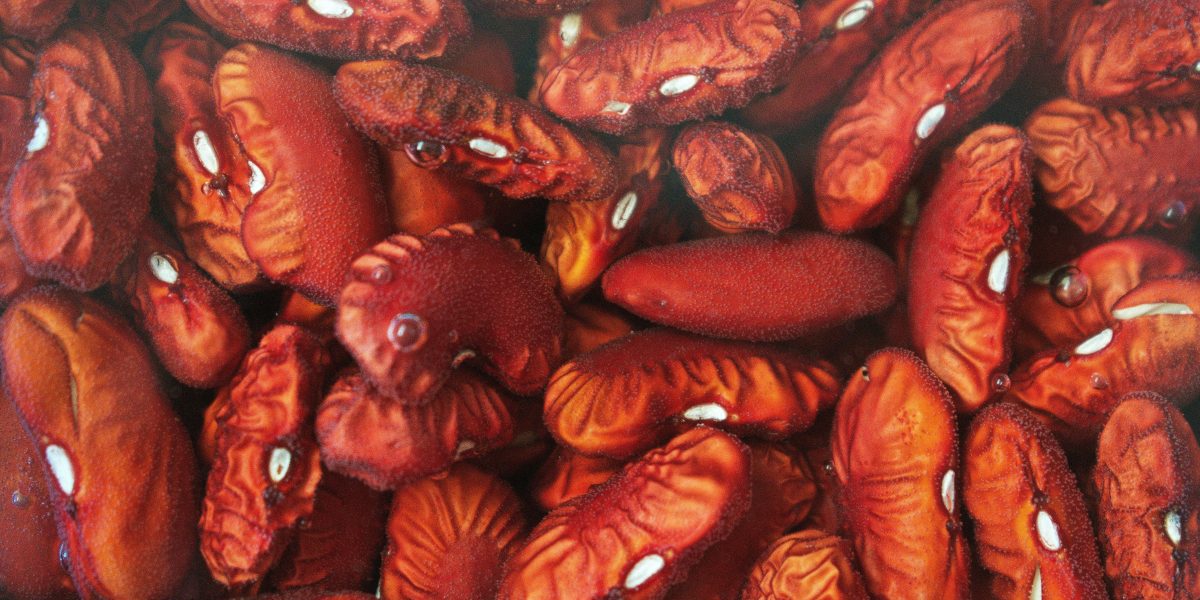 Light Red Kidney Beans