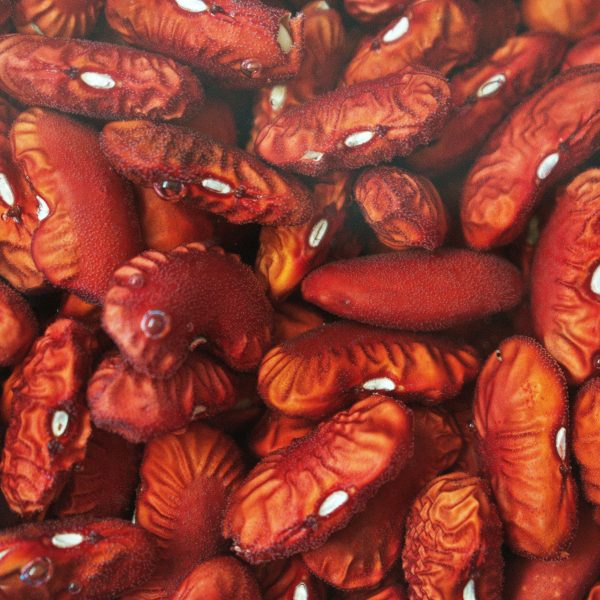 Light Red Kidney Beans