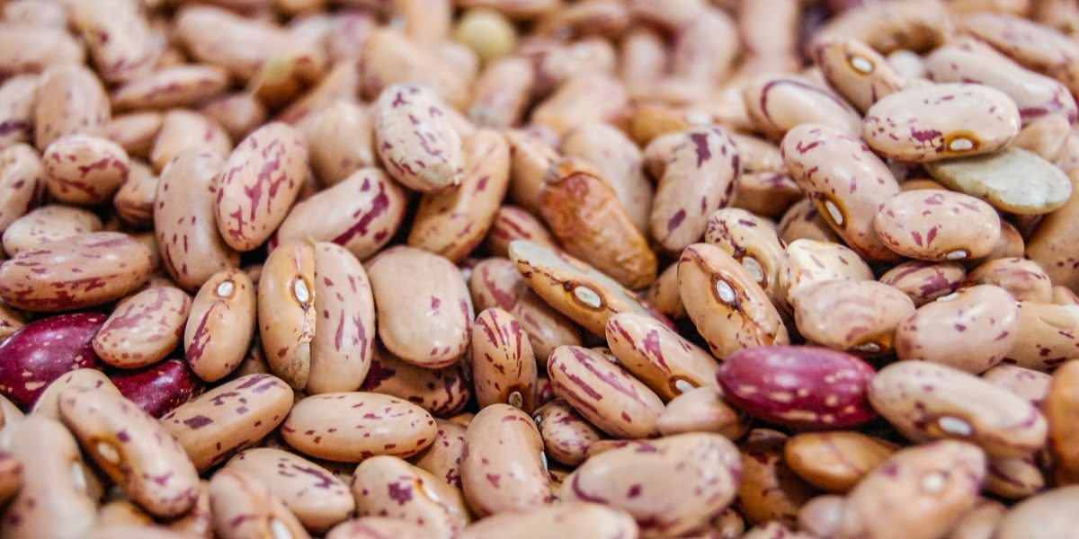 Pinto Beans
