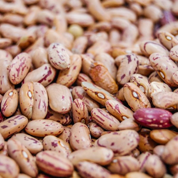 Pinto Beans