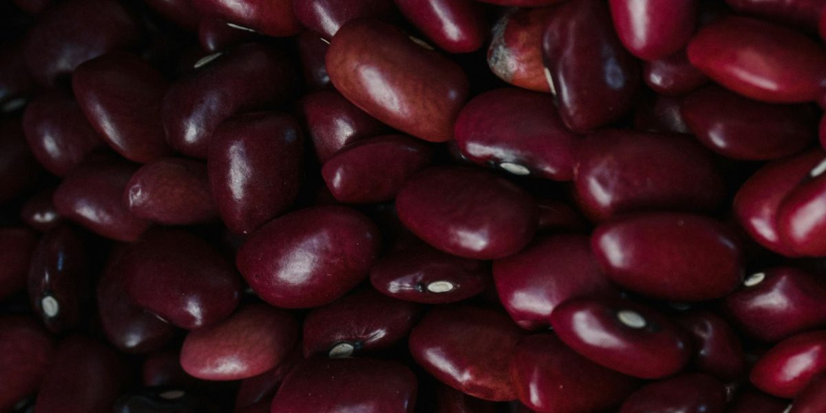 Dark Red Kidney Beans