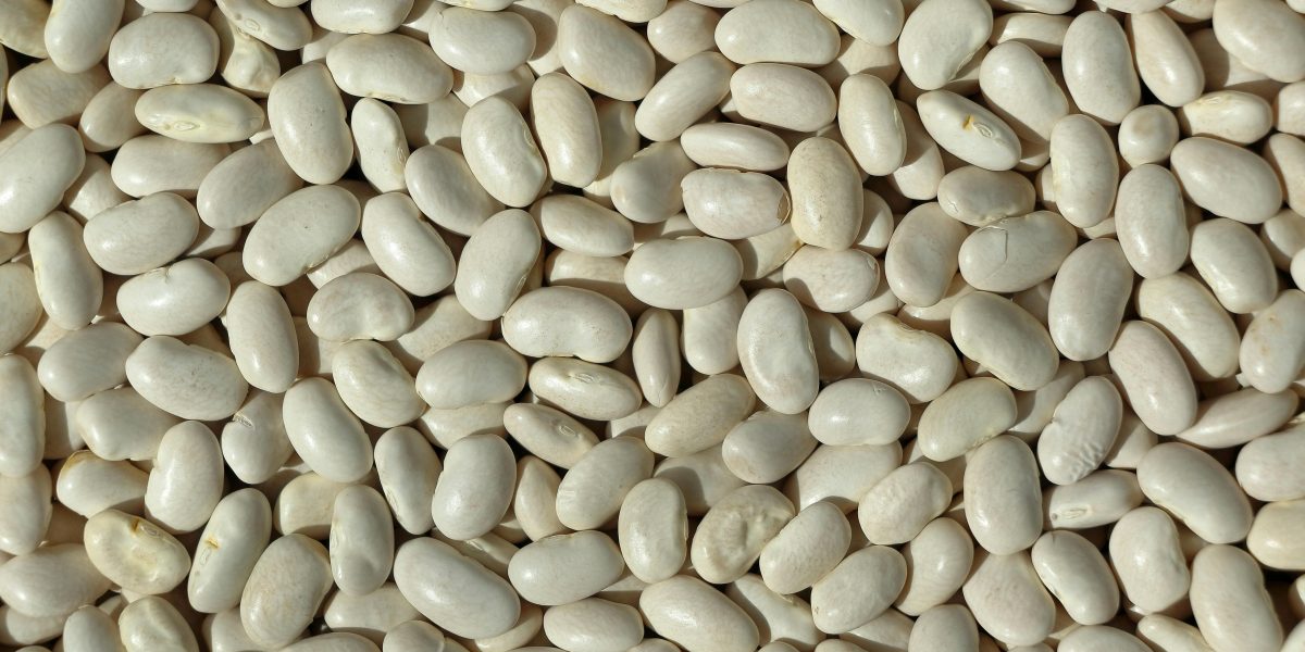 White Navy Beans