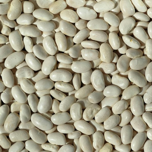 White Navy Beans